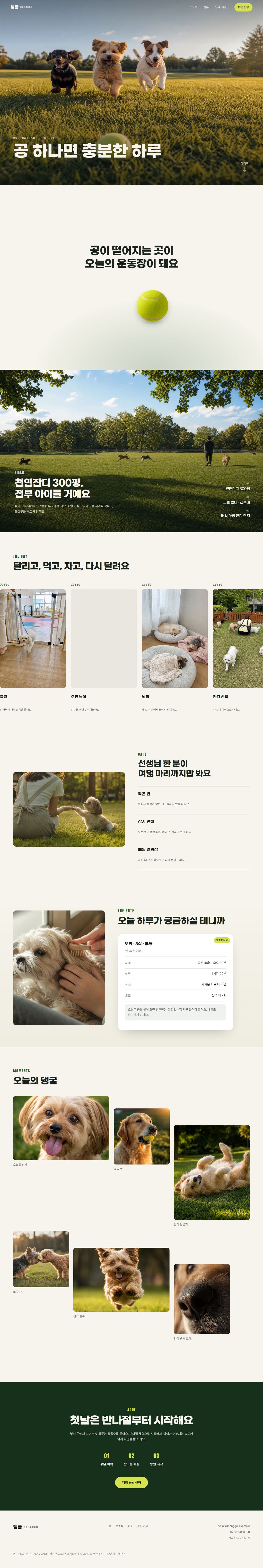 DAENGGUL — 공 따라 댕굴댕굴 · 반려견 유치원 데스크탑 화면