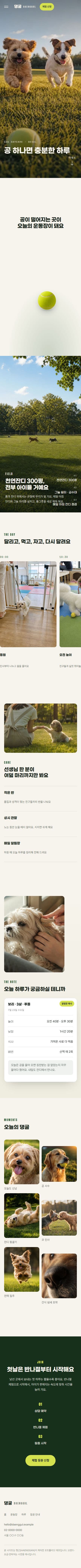 DAENGGUL — 공 따라 댕굴댕굴 · 반려견 유치원 모바일 화면