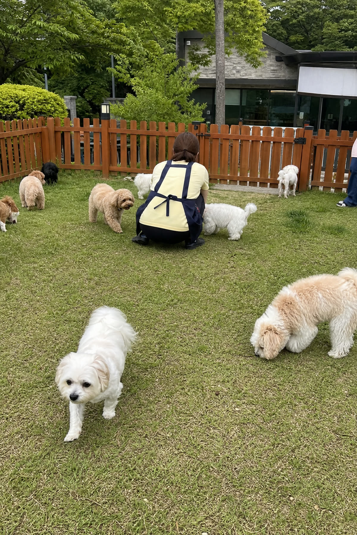 잔디 산책 — 마당으로 나가 코로 세상을 읽어요